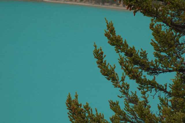 Peyto Lake